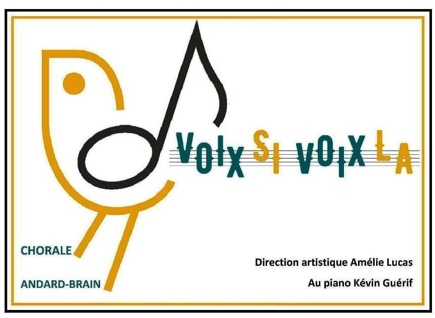 Logo vsvl pour page accueil site